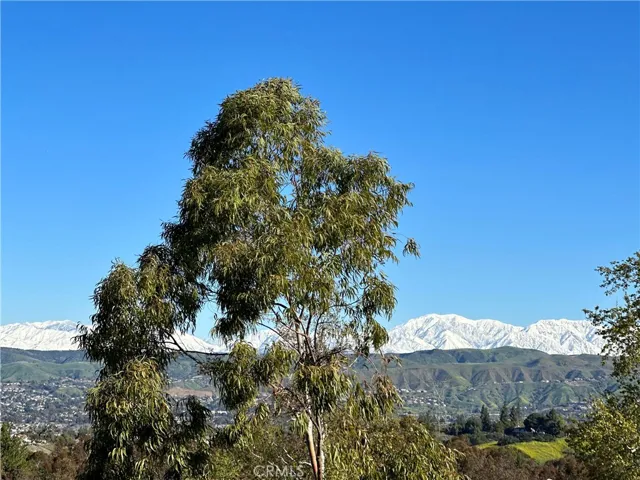 Panoramic Views!