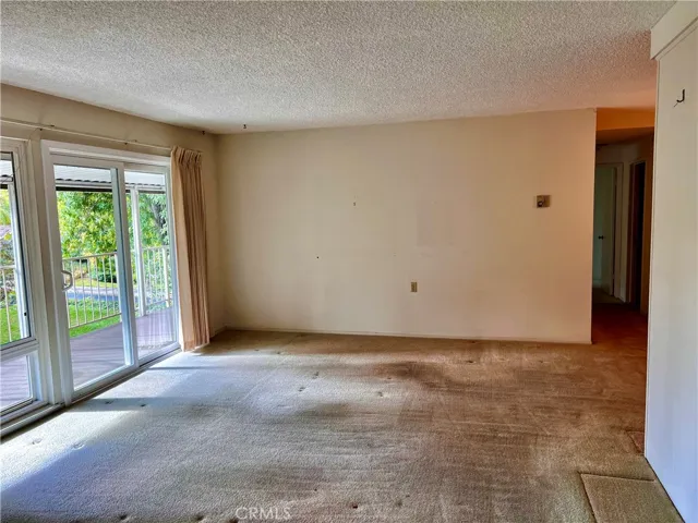 Large Living room