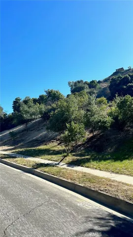 16203 Chella, Hacienda Heights, California 91745