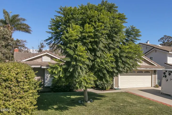 1-web-or-mls-UpMarketMedia1684San-005a