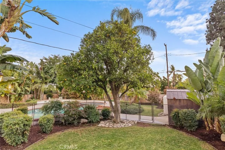 Rear Yard