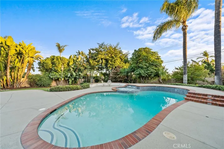 Pool & Spa