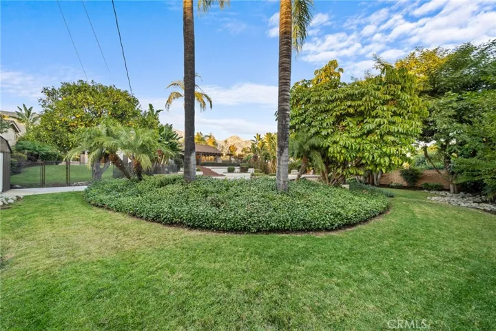 Rear Yard