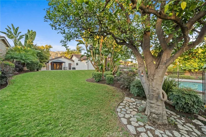 Rear Yard