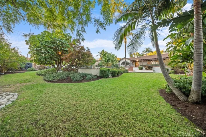 Rear Yard