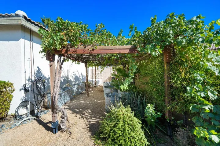 46-web-or-mls-JLAntun-46