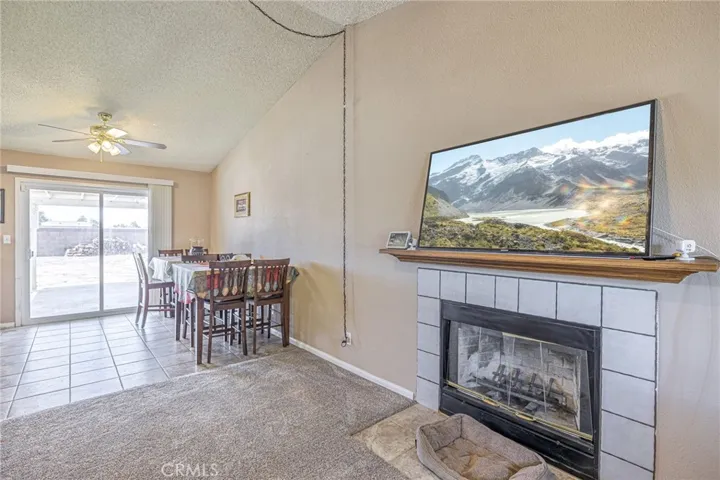 Fireplace - Wood Burning