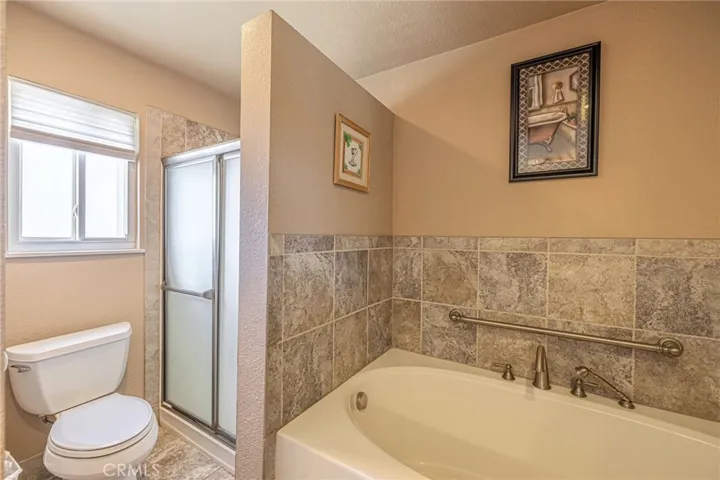 Master Shower and Tub