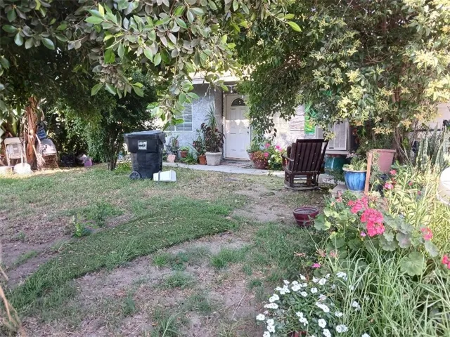 Front yard and front of house