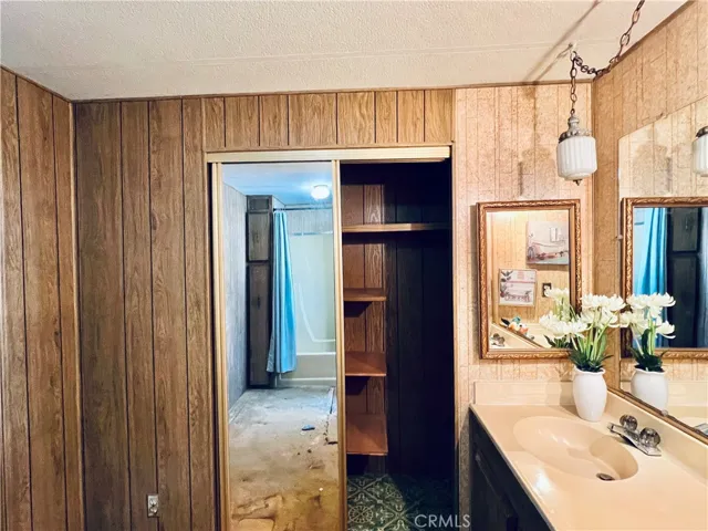 Master bathroom - view 4