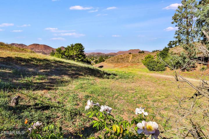oBackyard and Views10