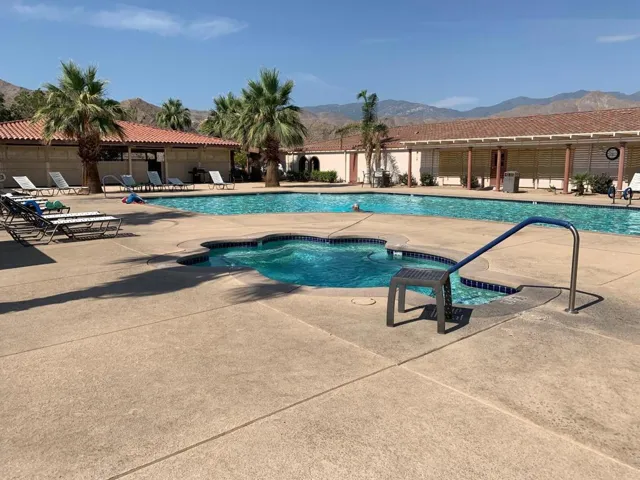 Date Palm Pool