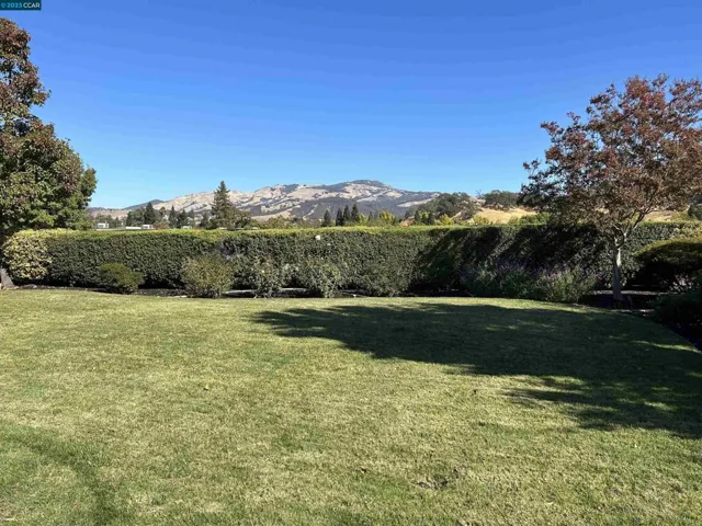 large yard