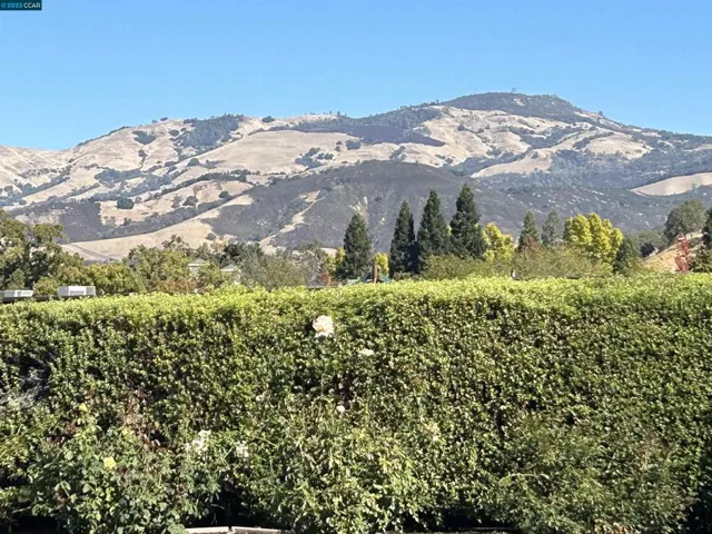 The best Mt. Diablo view!