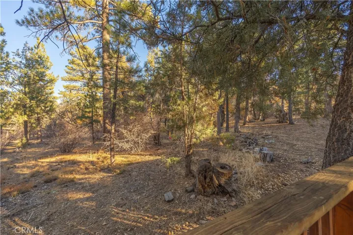 737 Pine Lane, Sugarloaf, California 92386
