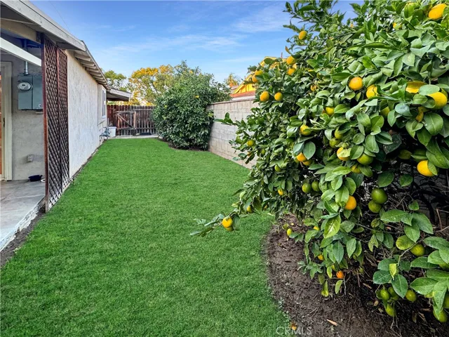 Sideyard - Photo Taken with iPhone 15