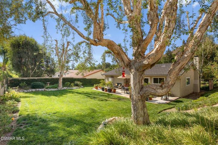 Interior Pro Images 30806 Catarina Drive