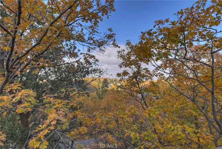 1434 Yosemite Drive, Lake Arrowhead, California 92352