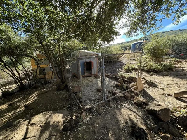 Chicken/Animal Coop