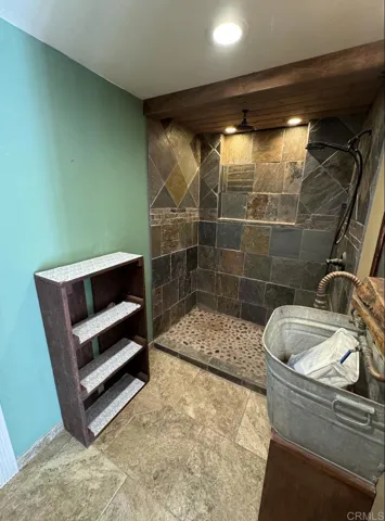 lower unit shower