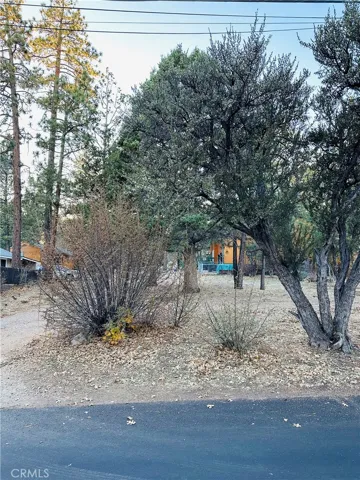 568 Highland Avenue, Sugarloaf, California 92386