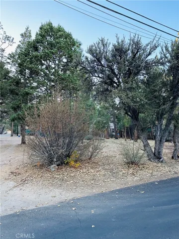 568 Highland Avenue, Sugarloaf, California 92386