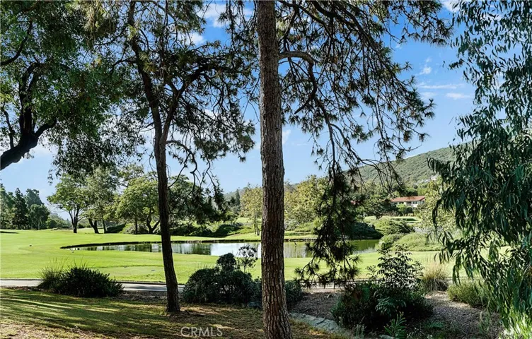 Actual view from patio area
