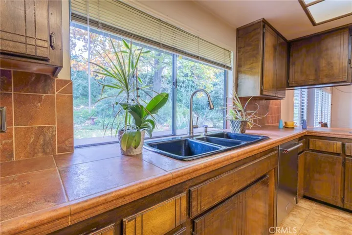 Kitchen sink with view to backyard.