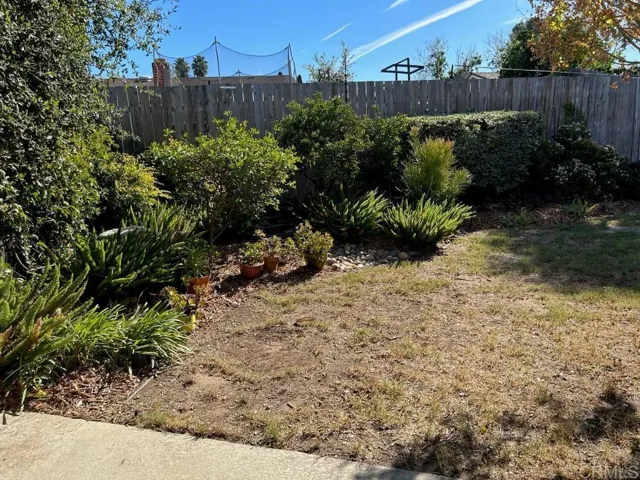 Back yard