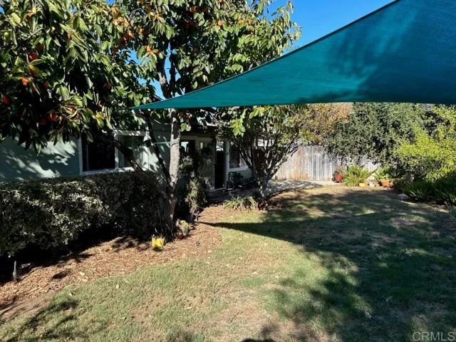 Back yard toward home