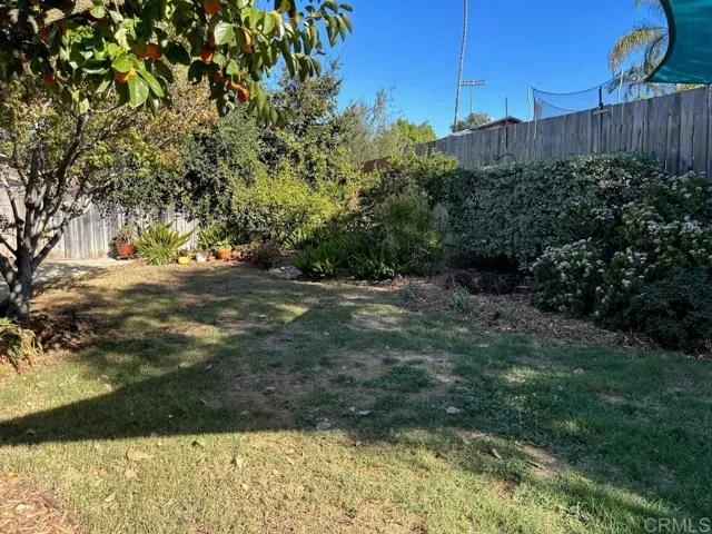 Back yard