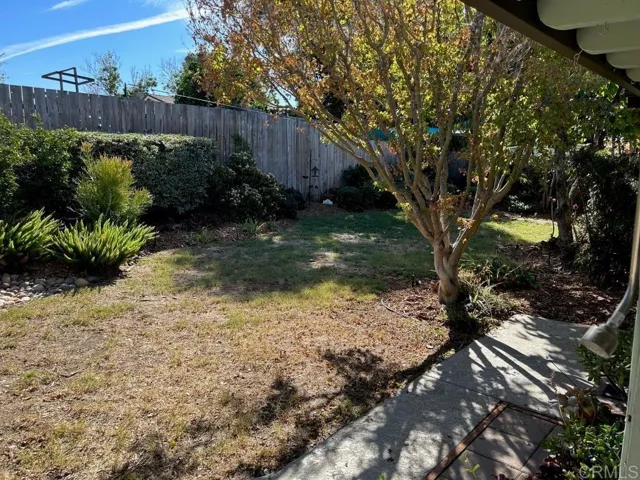 Back yard