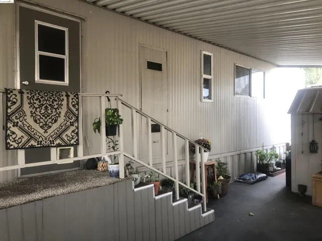 Driveway View