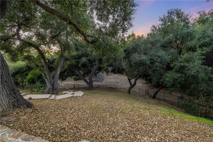 Rear side of the yard, a majestic and private space.