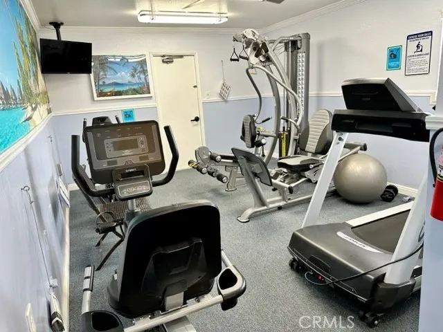 upgraded work out equipment in the clubhouse gym
