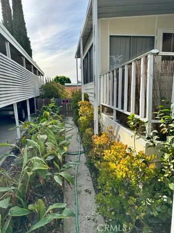 side area.  Lush greenery