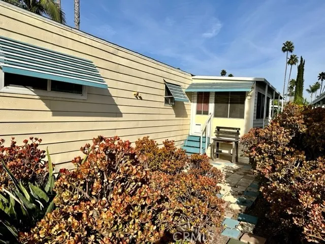Drought-resistant plants in the back yard with steps.  Very serene