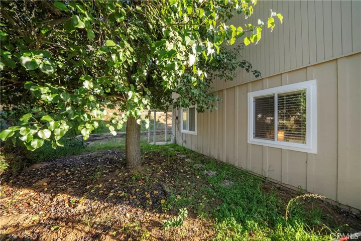 Side yard