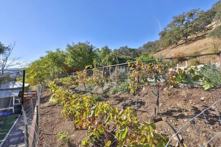 13585 Struzenberg Court, Morgan Hill, California 95037