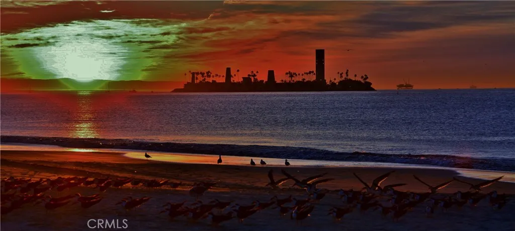 1140 E Ocean Boulevard 139, Long Beach, California 90802