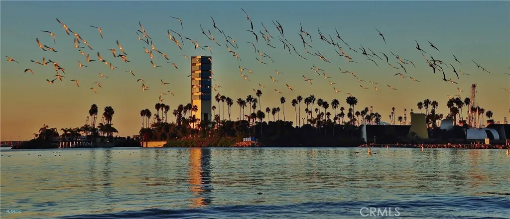1140 E Ocean Boulevard 139, Long Beach, California 90802
