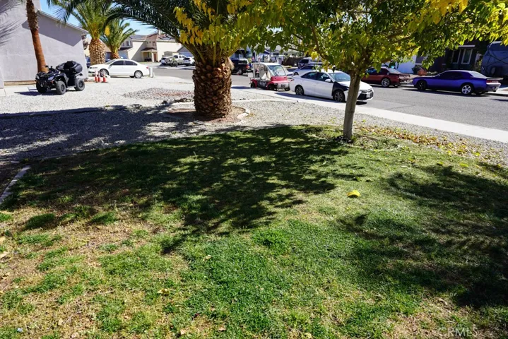 Front yard. Perfect for your kids or fur babies!