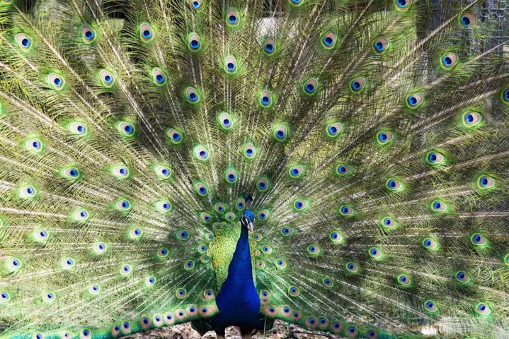 1170