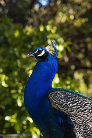 1170