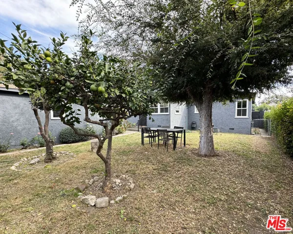 Fenced in Yard