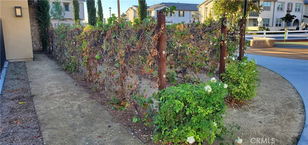 Who likes wine?