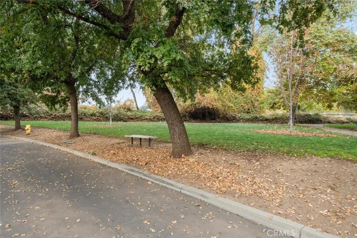 Neighborhood Park