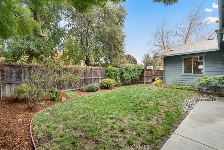 Backyard lawn