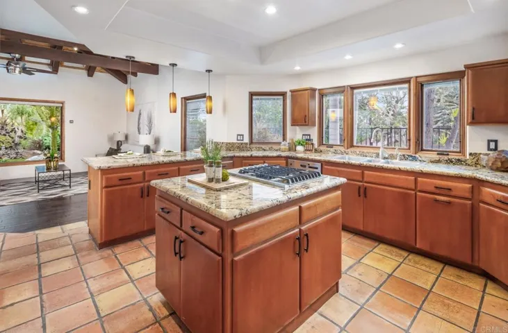 2202 Mountain Vista Dr, Encinitas, California 92024