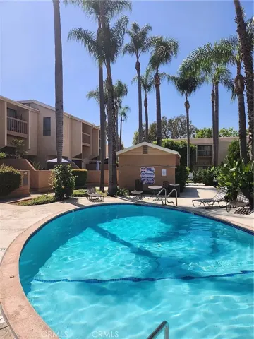 1 of the 3 Swimming Pools
